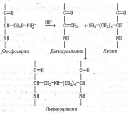 Выделение белков (рис. 1)