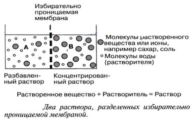 Осмометр прибор для измерения осмотического давления (рис. 1)