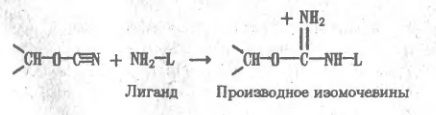 Выделение белков (рис. 10)