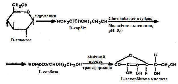 Бiосинтез вiтамiнiв (рис. 16)