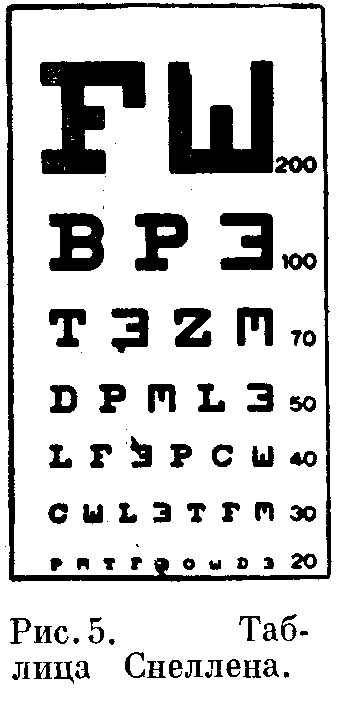 Оптика человека (рис. 2)