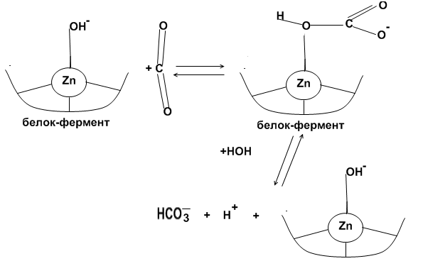 Элементы d-блока периодической системы (рис. 5)