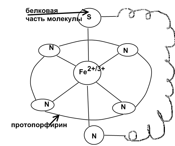 Элементы d-блока периодической системы (рис. 9)
