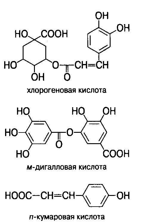Исследование свойств чая (рис. 5) Исследование свойств чая (рис. 5)