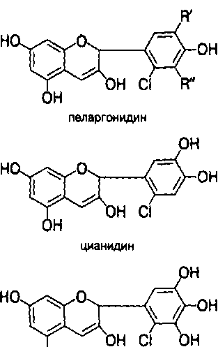 Исследование свойств чая (рис. 9) Исследование свойств чая (рис. 9)