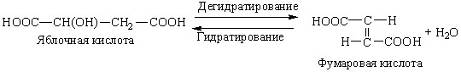 Специфичность амилазы (рис. 26) Специфичность амилазы (рис. 26)